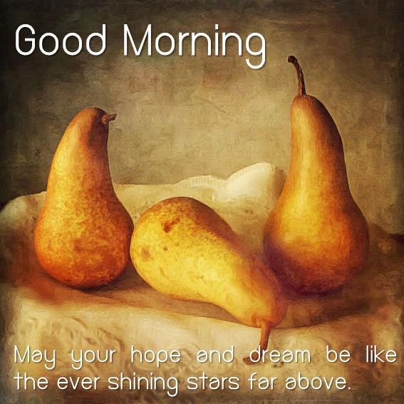 Romantic Good Morning Love Messages