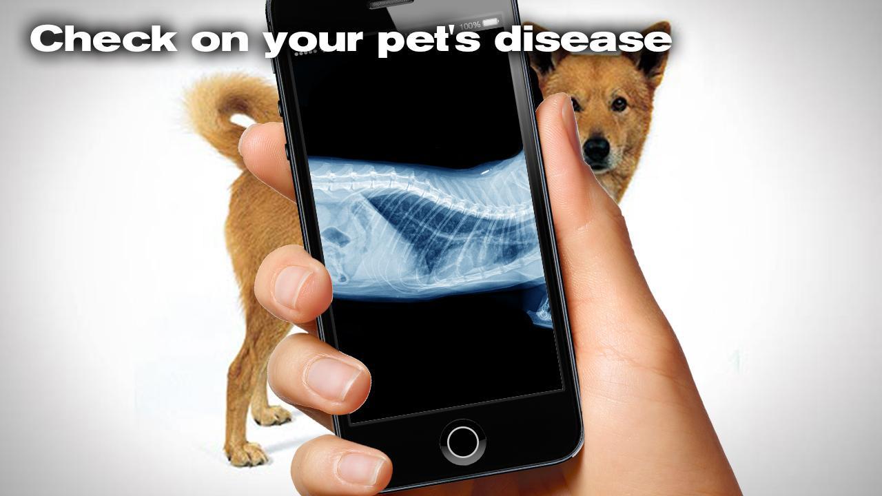 X-ray Dog Simulator