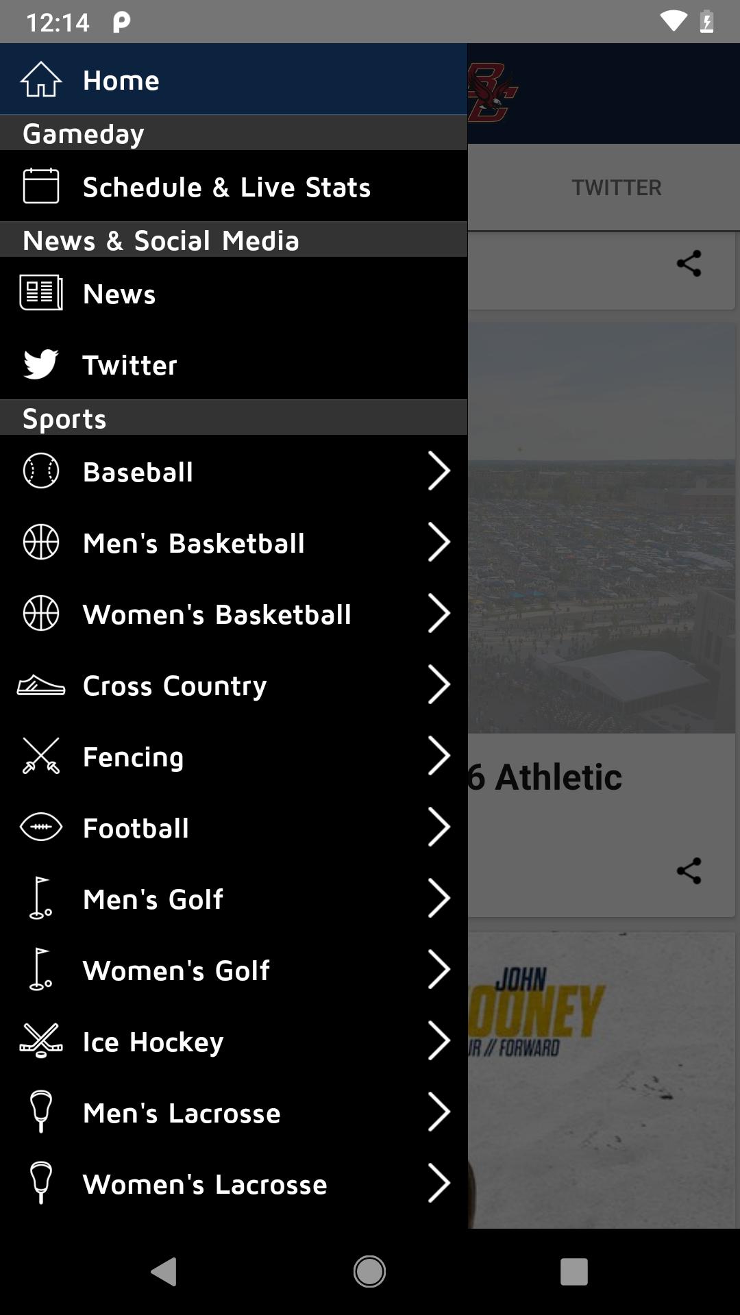 Notre Dame Fighting Irish