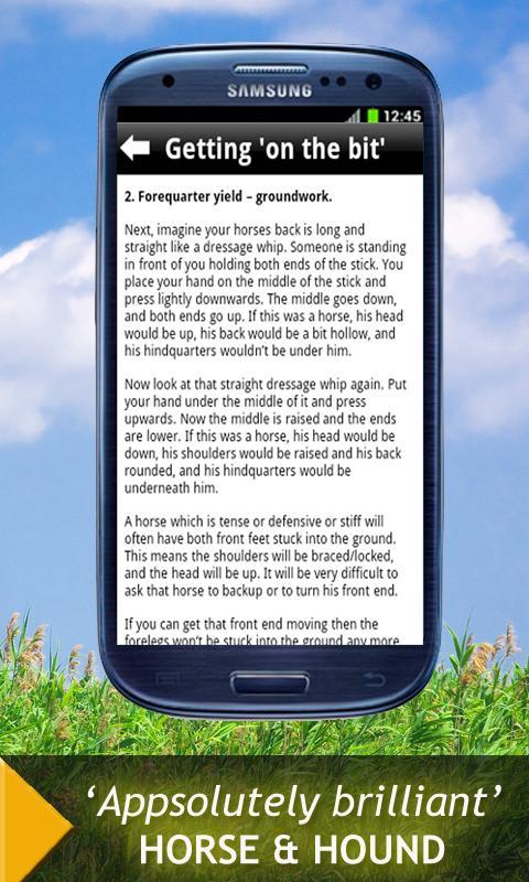 Good Horsemanship: Equestrian