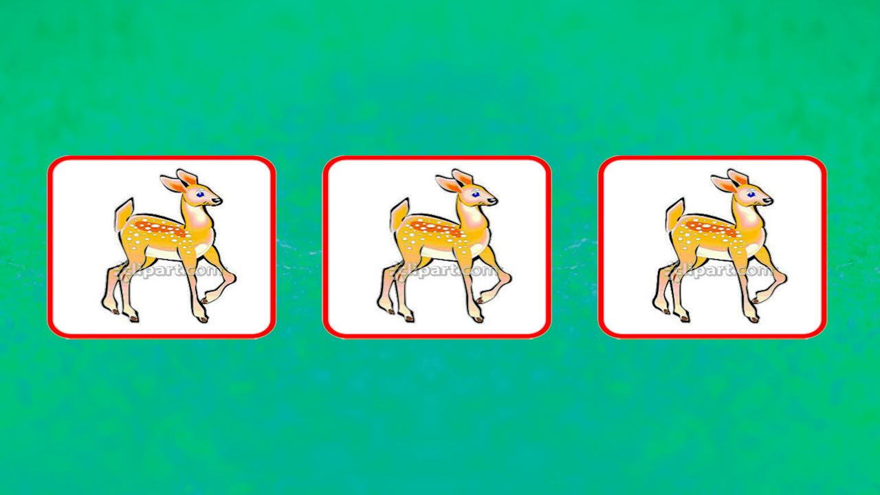 Bau Cua 2017 (Tom Ca)