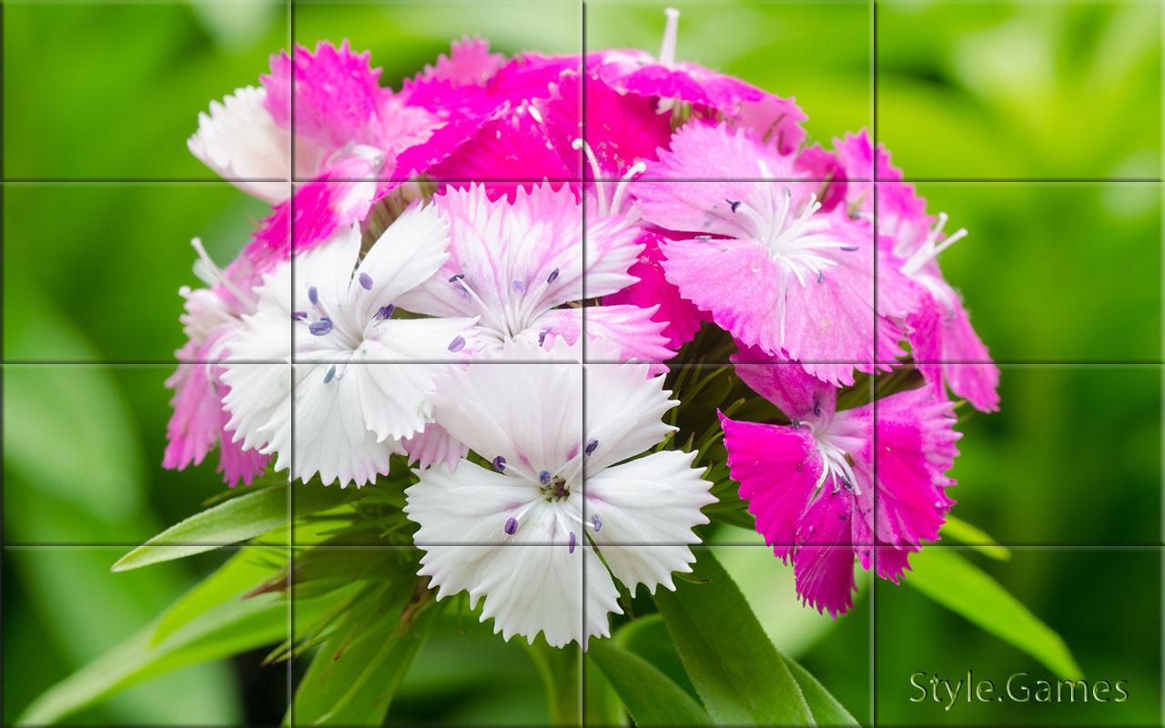 Wonderful Flowers Puzzle