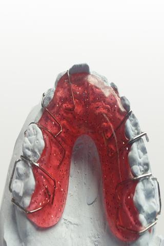 Anatomy of the Mouth