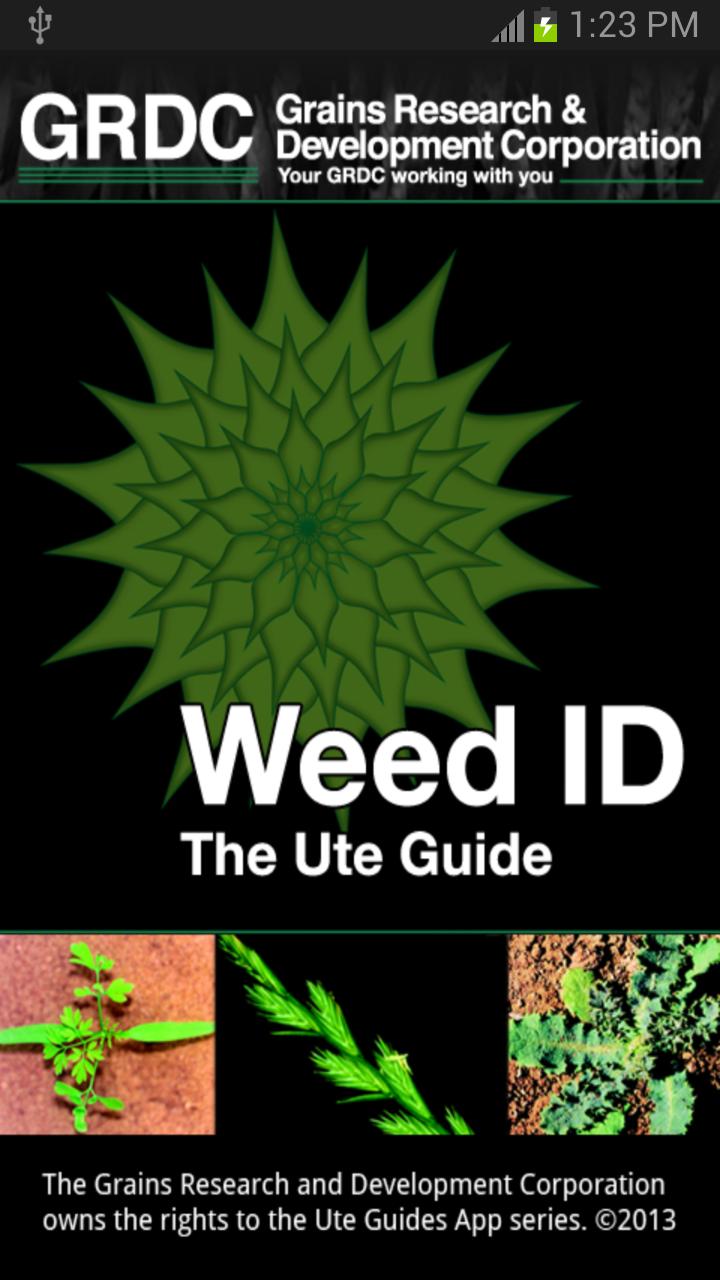 Weed ID: The Ute Guide