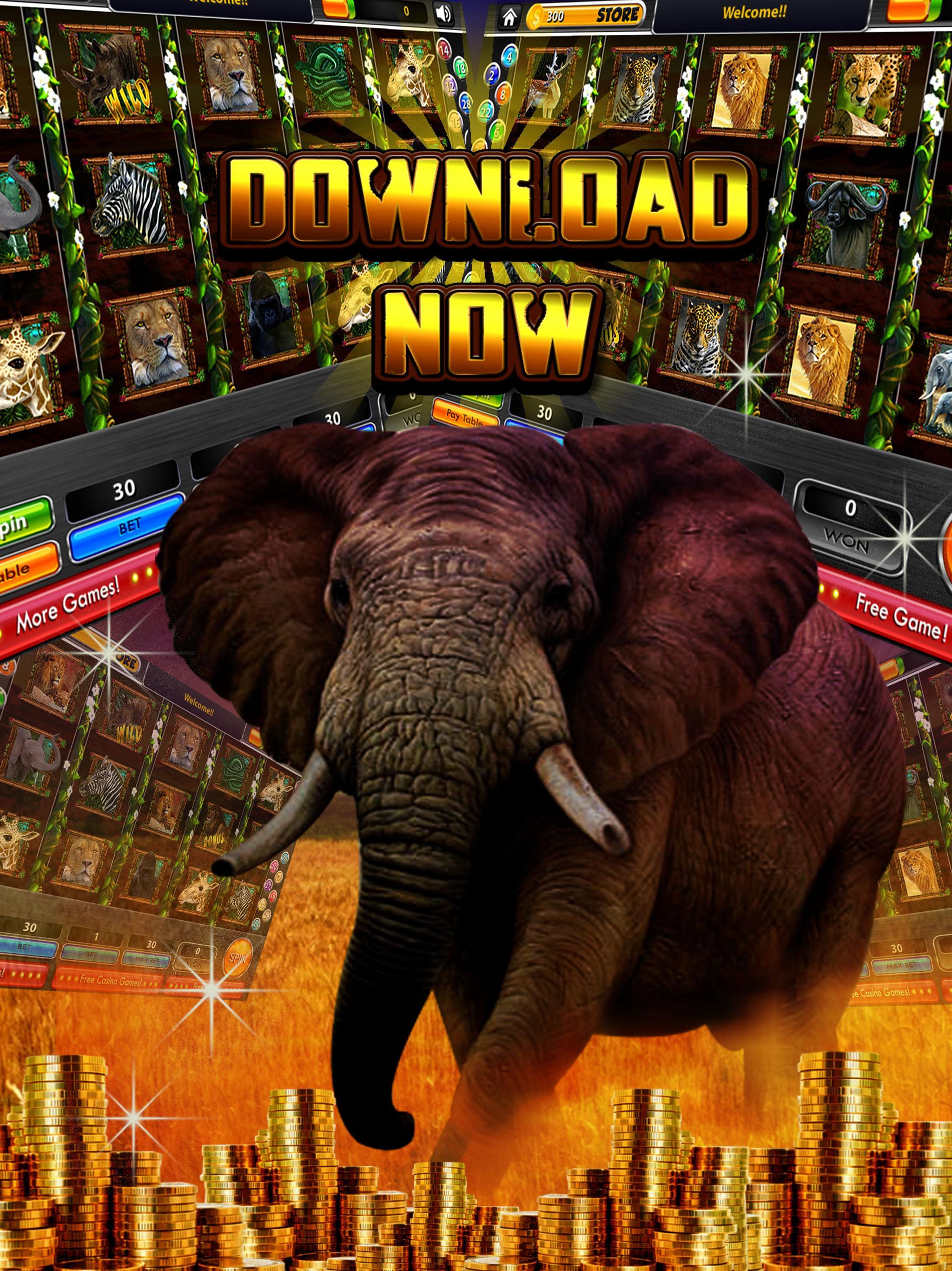 Golden safari casino