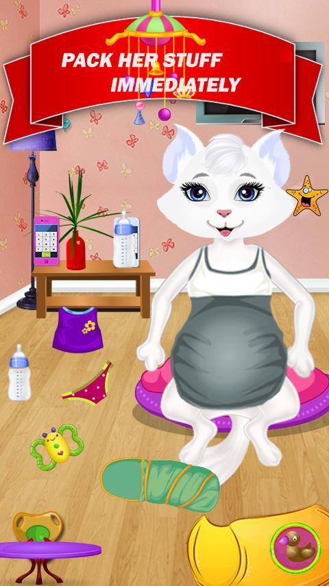 Pregnant Cat Gives Birth