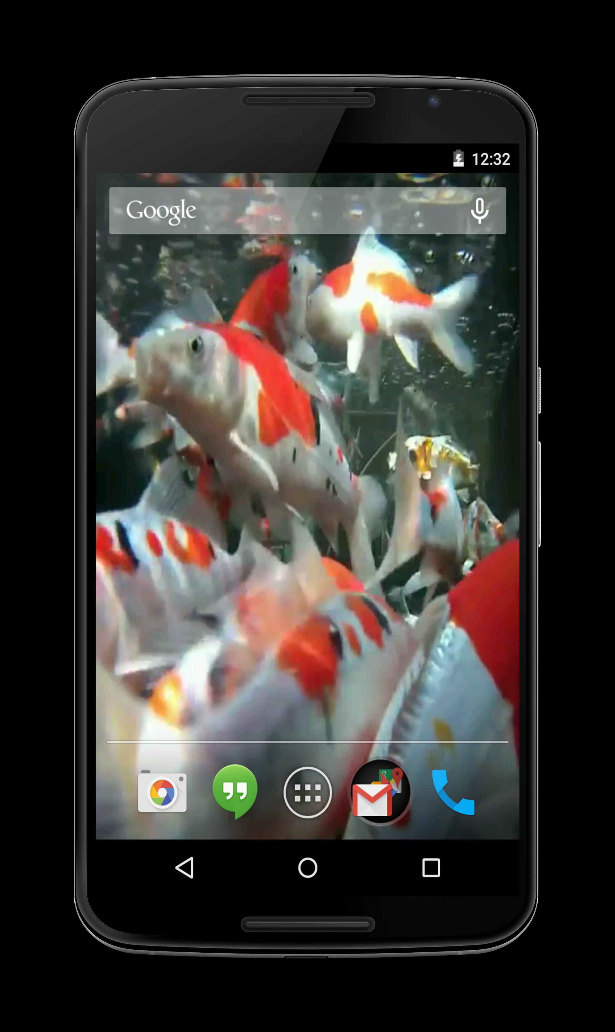 Koi HD Video Live Wallpaper