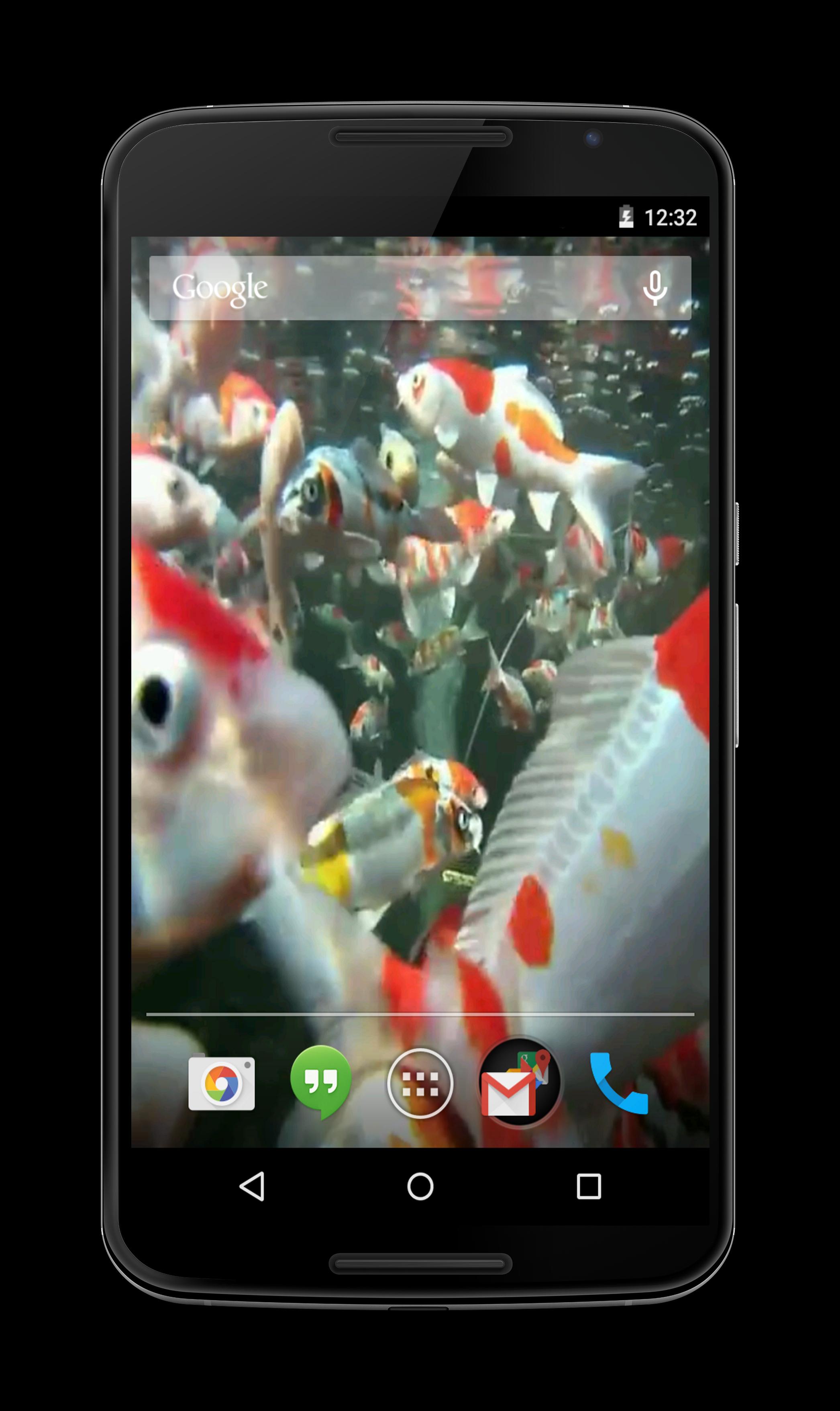 Koi HD Video Live Wallpaper