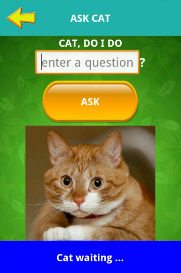 Ask cat helper simulator