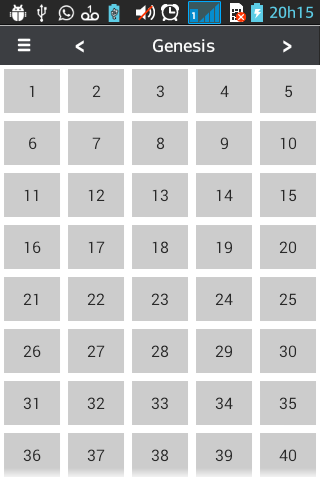 Bible Portuguese - English