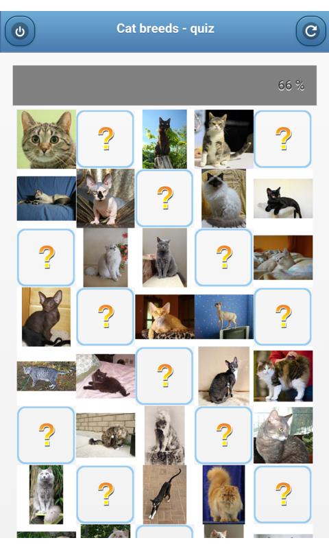 Cat breeds - quiz