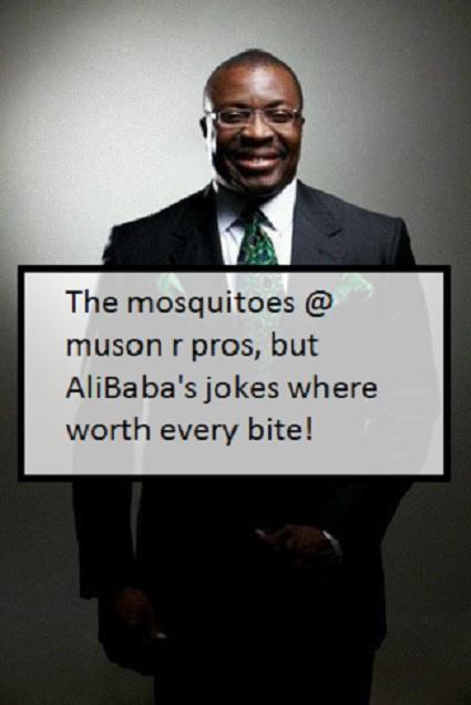 Alibaba Comedian GCFR