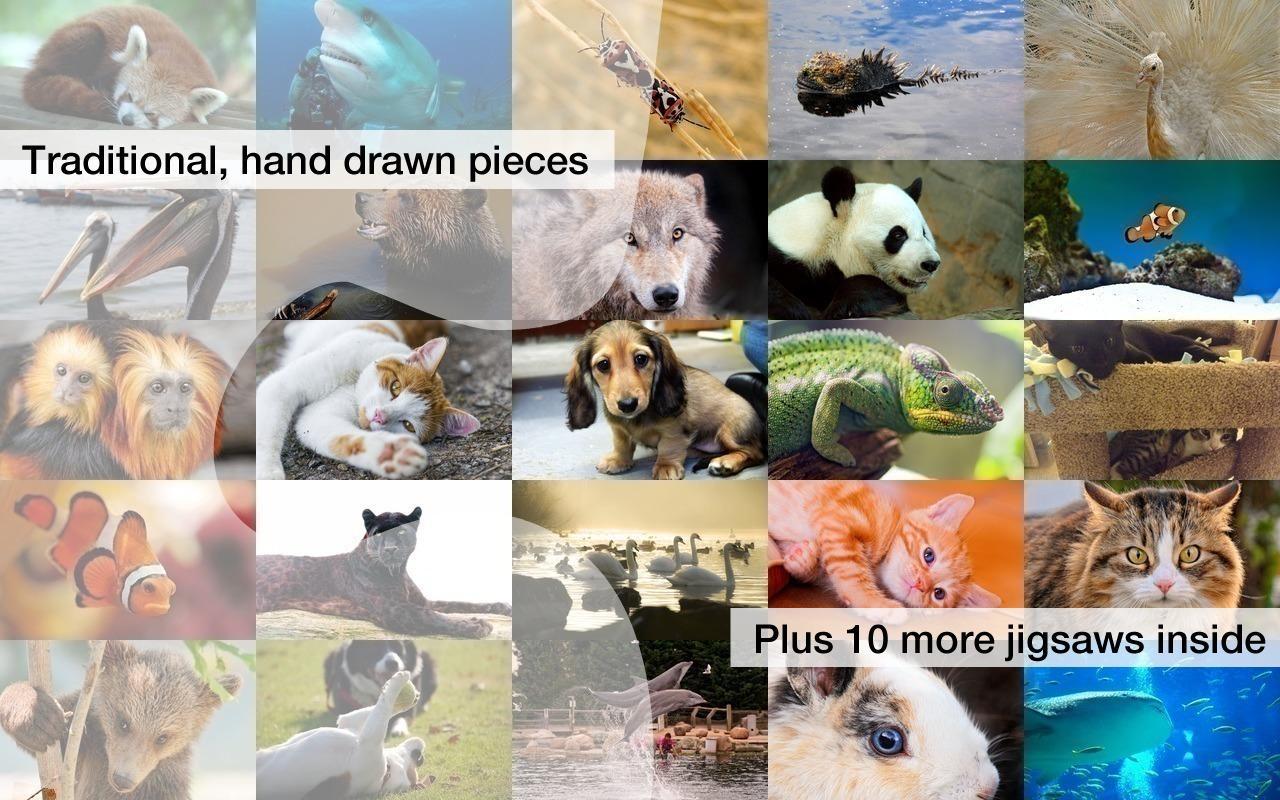 Jigsaw Puzzles: Animals