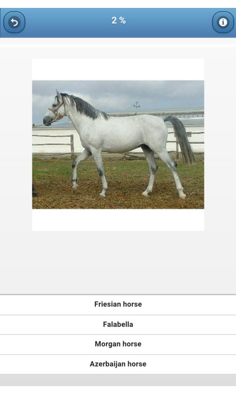 Breeds of horses - quiz