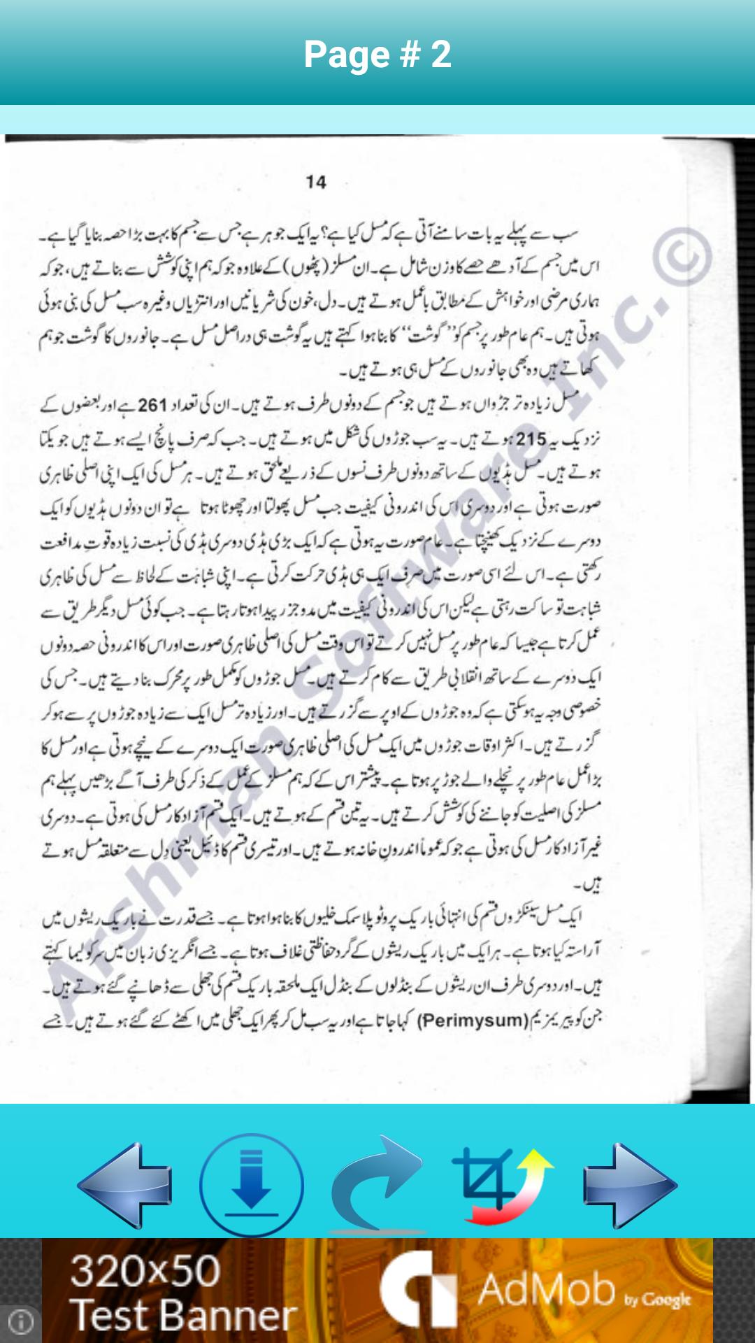 Body Builder Baniyey