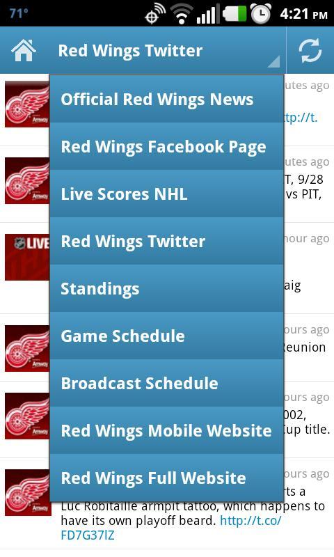 Detroit Red Wings Fan App