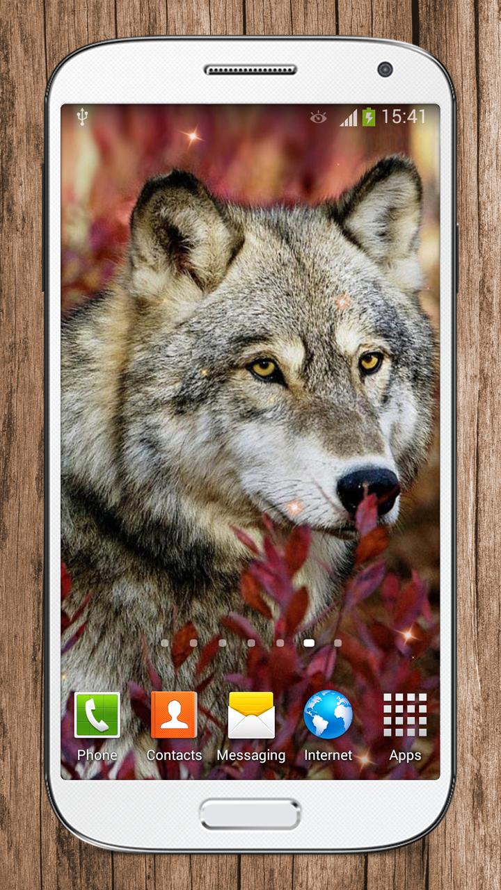 Wolf Live Wallpaper HD