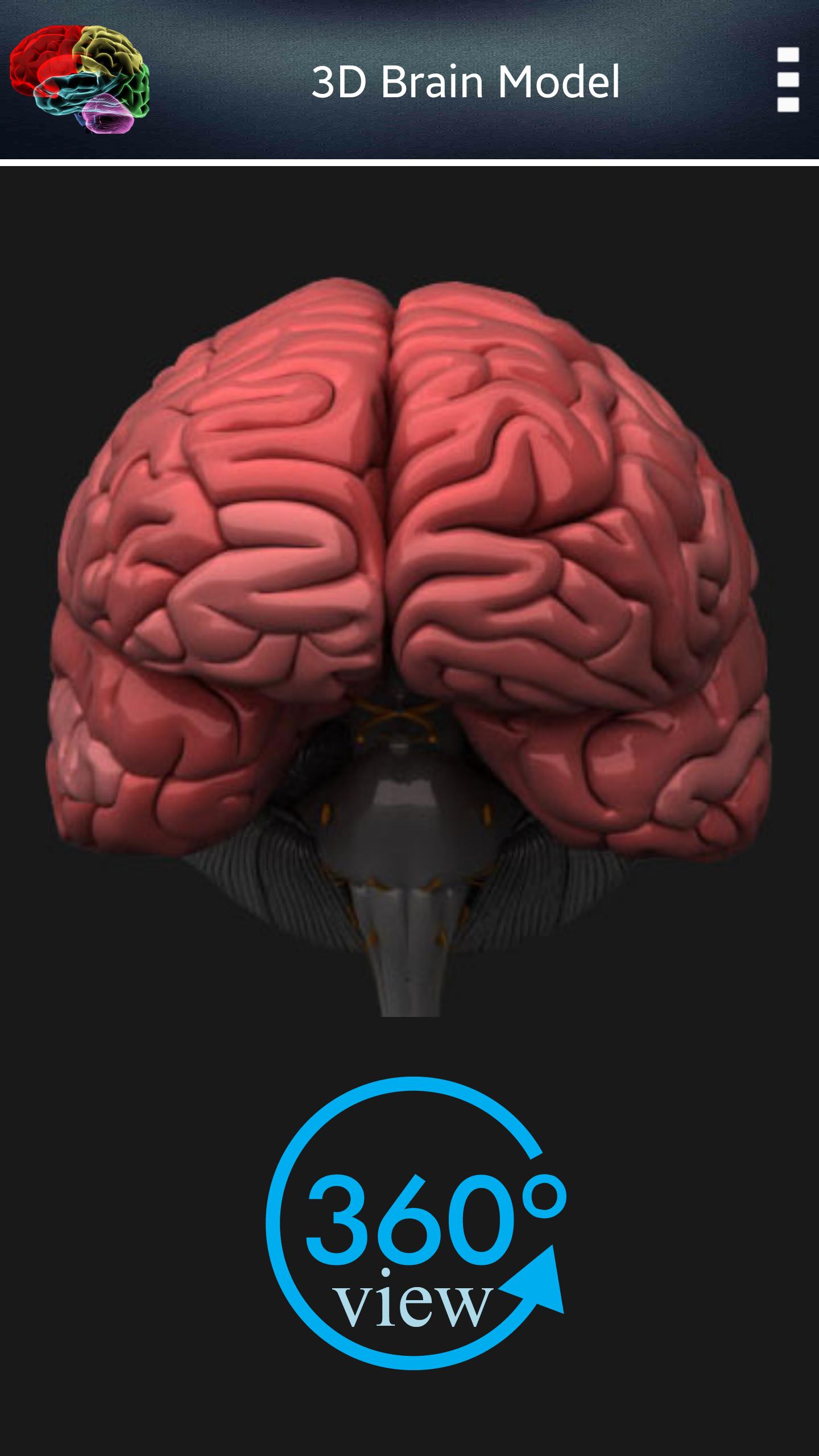 HUMAN BRAIN (PARTS-FUNCTIONS)