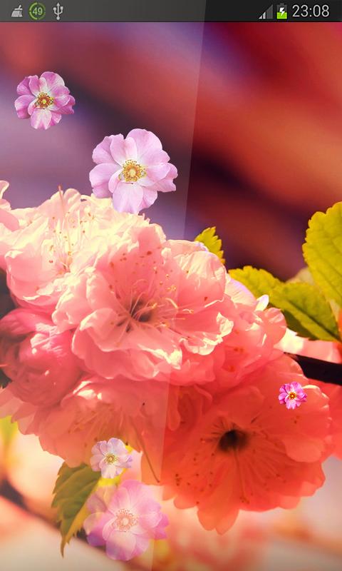 Spring Flowers HD LWP