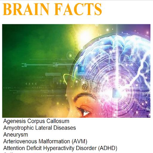 Easy Brain Facts