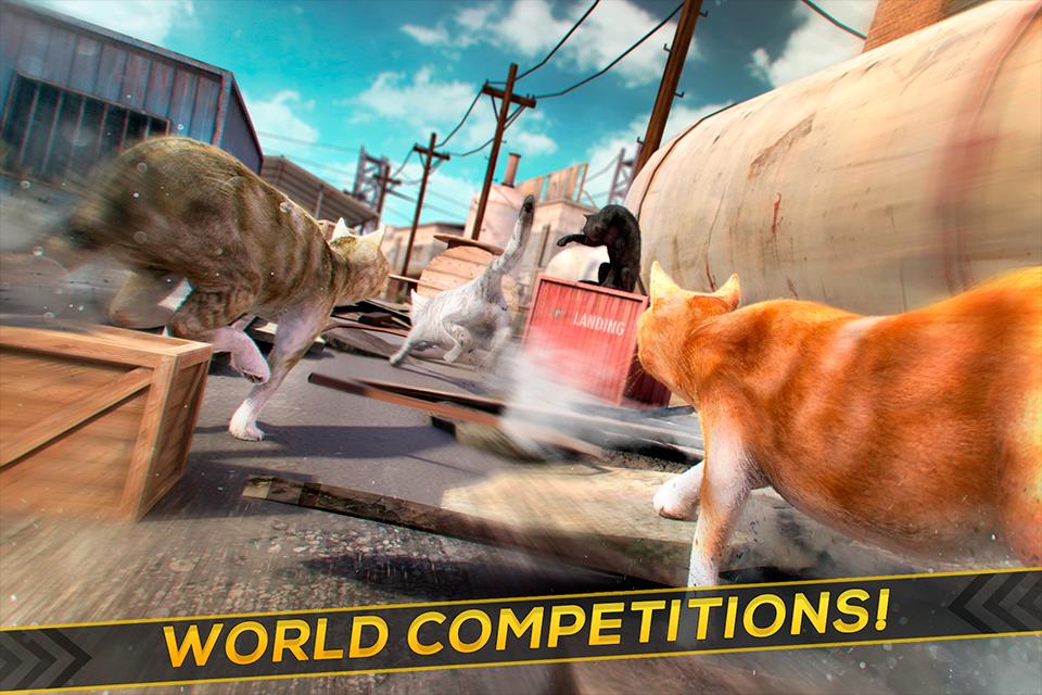 3D Cat Simulator Game For Free
