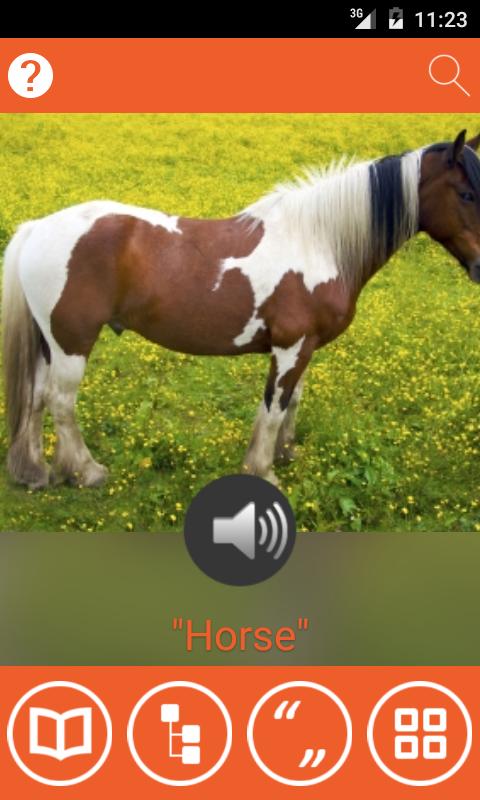 Wiradjuri Dictionary