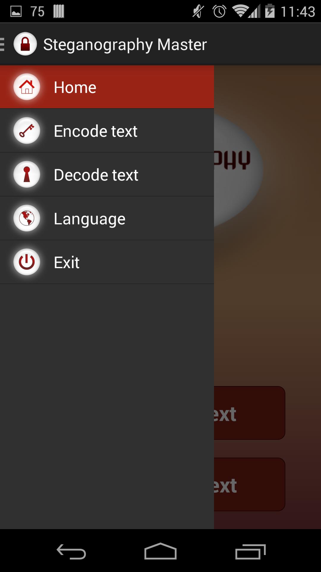 Steganography Master