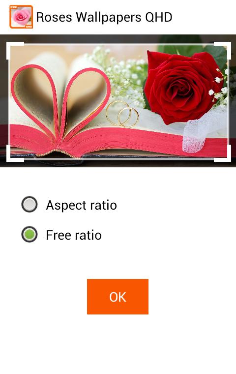 Roses Wallpapers QHD