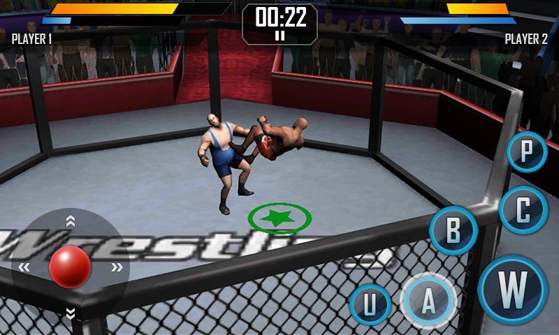 Real Wrestling 3D