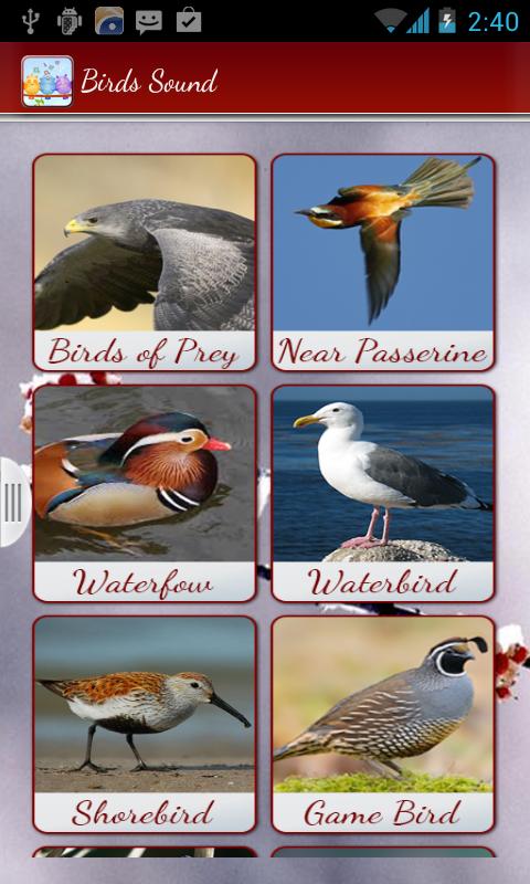 Best Birds Calls & Ringtones-Birds Sounds & Alarm