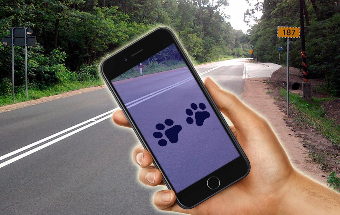 Find footprints of paths prank