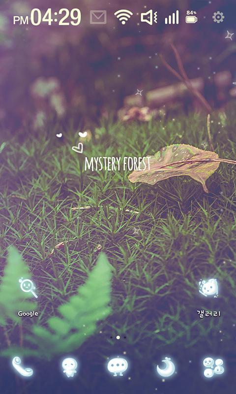 Mystery Forest