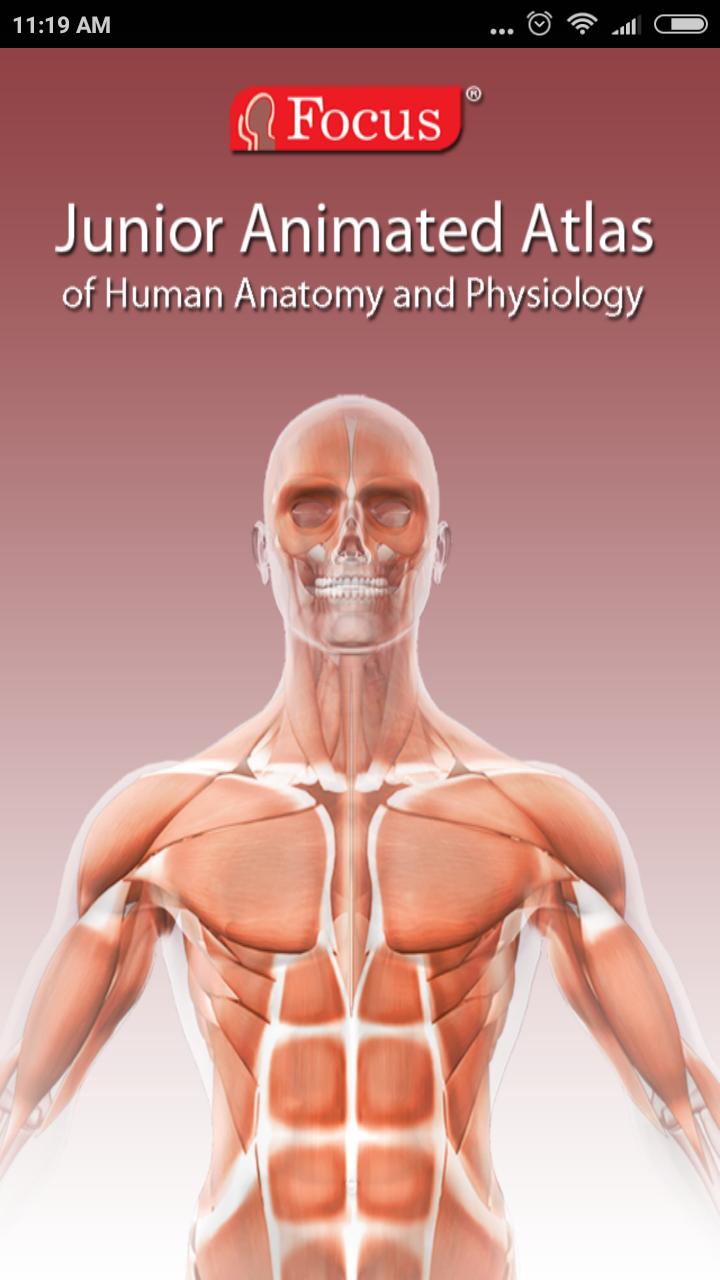 Anatomy Atlas