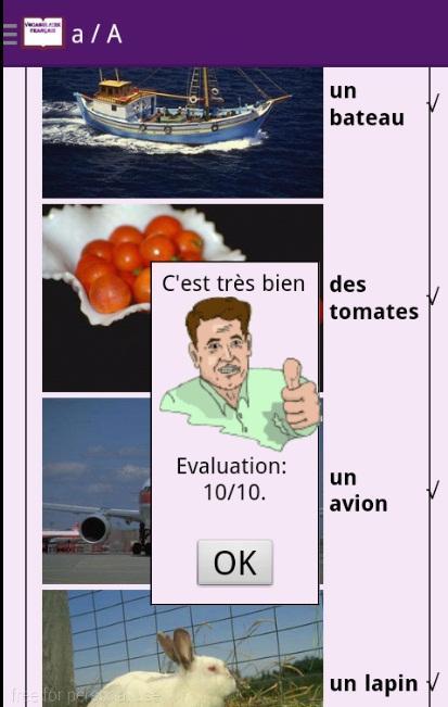 French vocabulary exercises