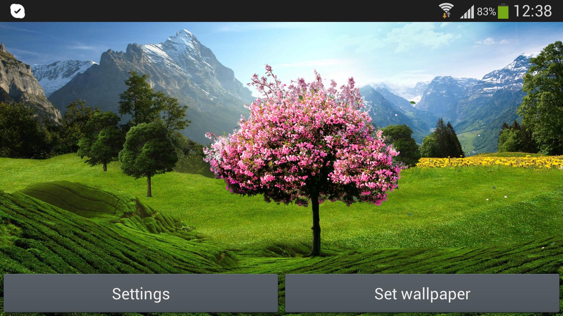 Sakura Live Wallpaper Free