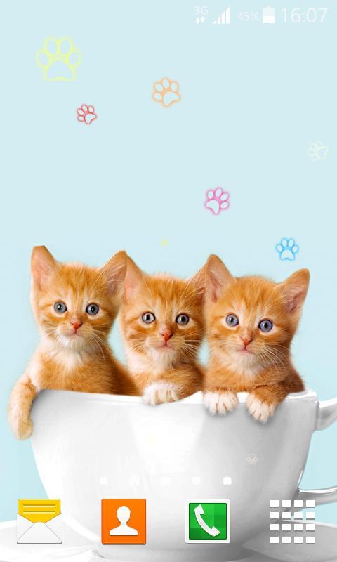 Kitty Live Wallpaper