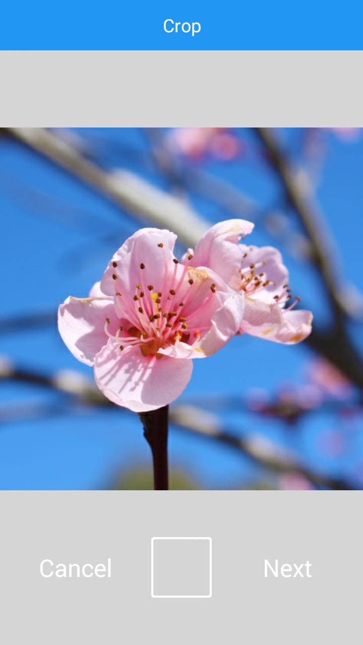 Patel Patidar Anamat Andolan