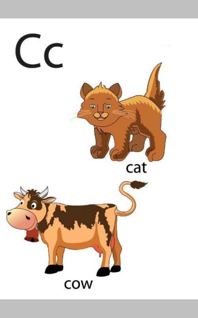 Baby Flashcard Toddler AtoZ