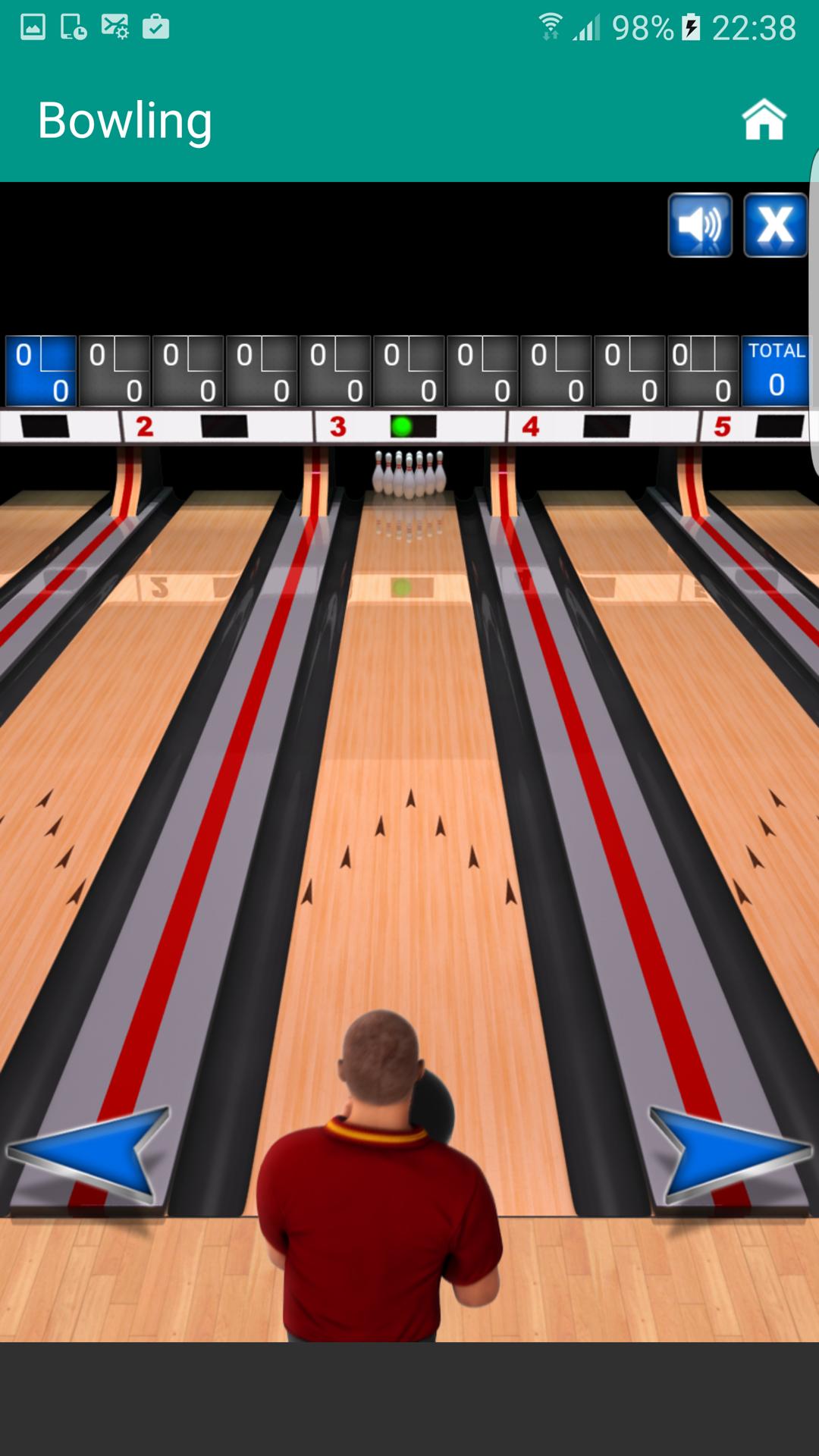 Bowling Pro Classic Game