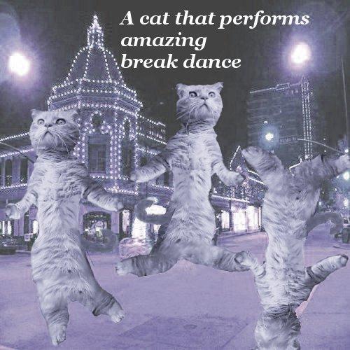 Cat Dancing