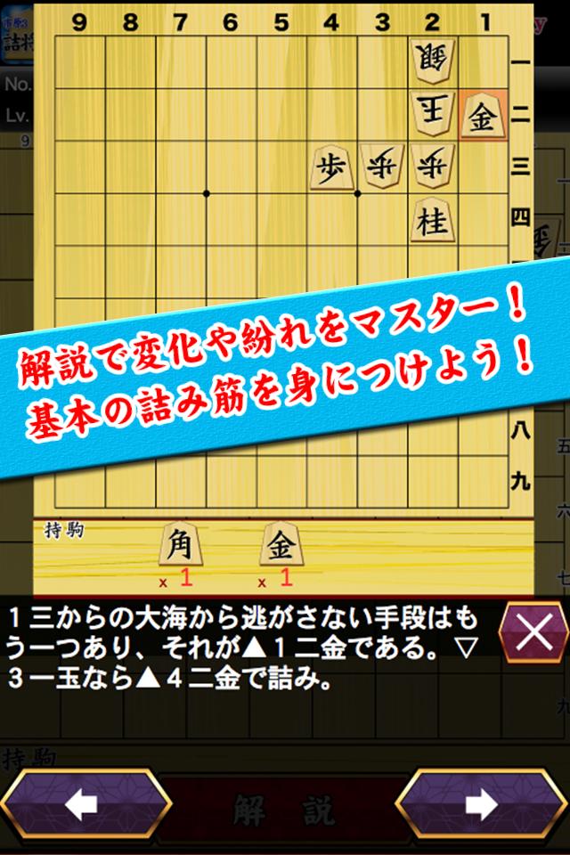 Shogi Problem of Ichihara No.3