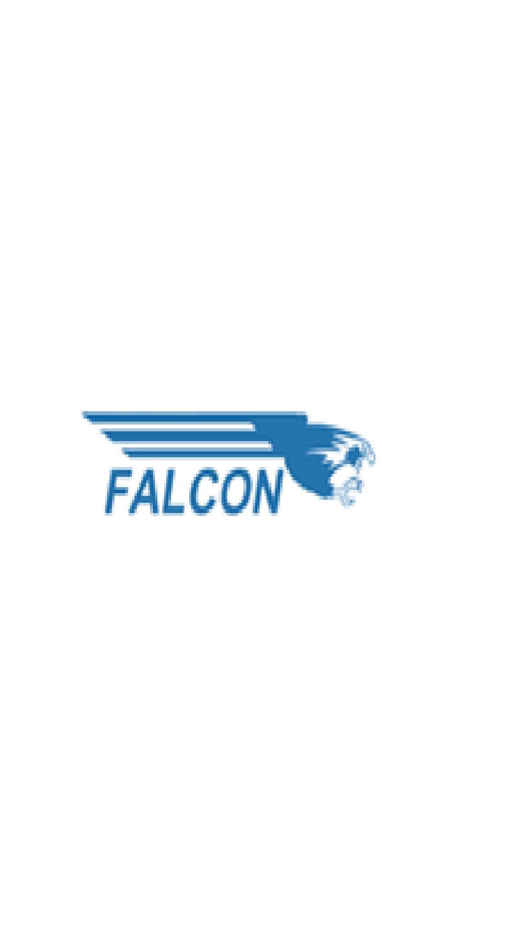 BIG Falcon