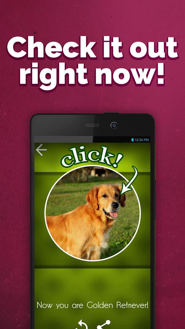 What dog am I simulator