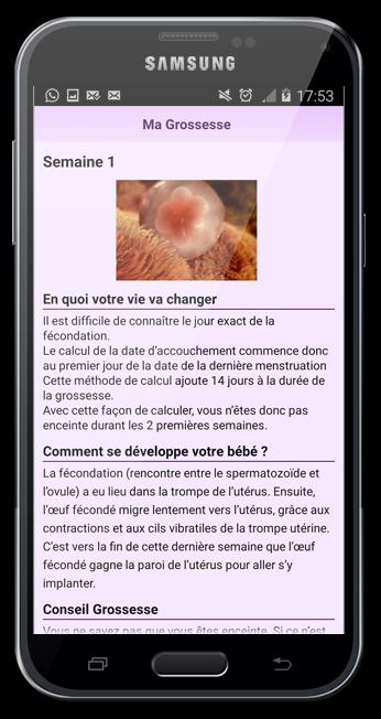 Ma Grossesse