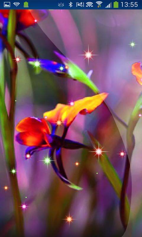 Little Summer Flowers HD LWP