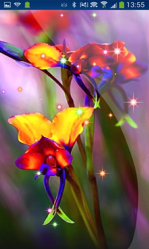 Little Summer Flowers HD LWP