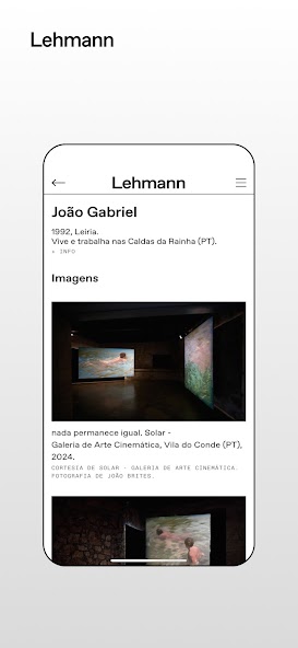 Lehmann Gallery