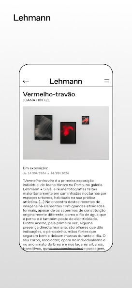 Lehmann Gallery