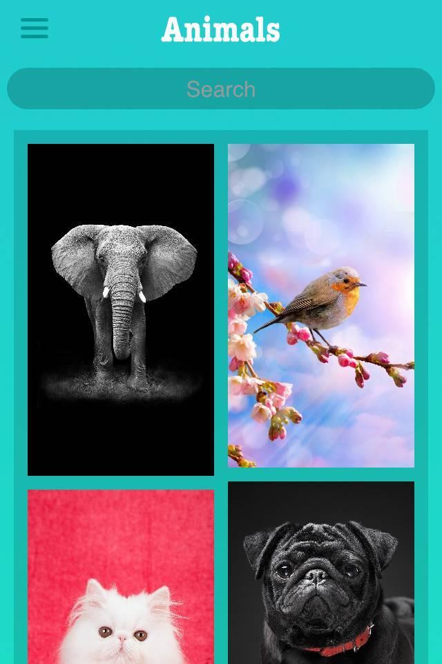 Amazing HD Wallpapers Sfondi