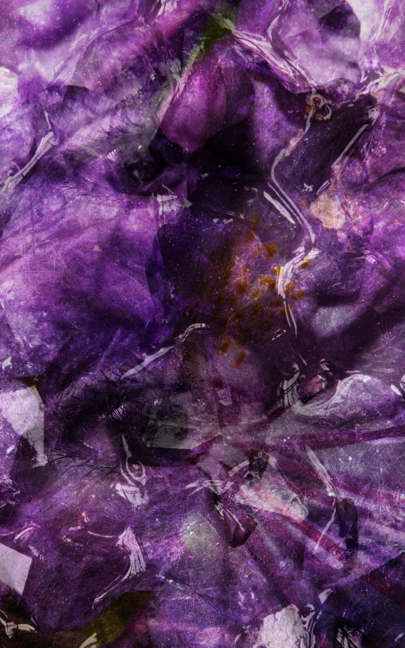 Synergistic Image Explorer